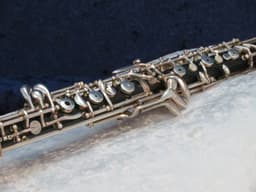 Renard by Fox Artist Model 330 Plastic Oboe 1993 Serial #8934 Renard by Fox Artist Model 330 Plastic Oboe 1993 Serial #8934