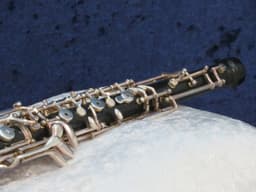 Renard by Fox Artist Model 330 Plastic Oboe 1993 Serial #8934 Renard by Fox Artist Model 330 Plastic Oboe 1993 Serial #8934