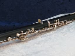 Renard by Fox Artist Model 330 Plastic Oboe 1993 Serial #8934 Renard by Fox Artist Model 330 Plastic Oboe 1993 Serial #8934