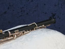 Renard by Fox Artist Model 330 Plastic Oboe 1993 Serial #8934 Renard by Fox Artist Model 330 Plastic Oboe 1993 Serial #8934
