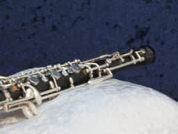Lesher Wood Oboe Serial #P1010 Lesher Wood Oboe Serial #P1010