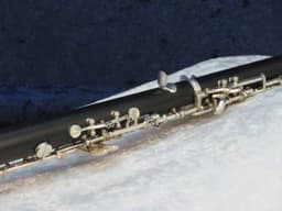 Lesher Wood Oboe Serial #P1010 Lesher Wood Oboe Serial #P1010