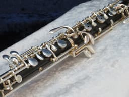 Larilee Wood Oboe Serial #22635 Larilee Wood Oboe Serial #22635