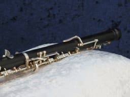 LaMarque Wood Oboe Serial #12884 LaMarque Wood Oboe Serial #12884