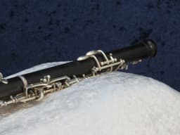 Buffet Crampon Wood Oboe Serial #3412 Buffet Crampon Wood Oboe Serial #3412