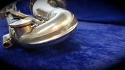 Selmer Paris Professional Wood Bass Clarinet Serial #D8028 Selmer Paris Professional Wood Bass Clarinet Serial #D8028