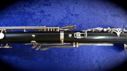 Selmer Paris Professional Wood Bass Clarinet Serial #D8028 Selmer Paris Professional Wood Bass Clarinet Serial #D8028