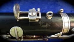 Selmer Paris Professional Wood Bass Clarinet Serial #D8028 Selmer Paris Professional Wood Bass Clarinet Serial #D8028