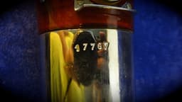 Schreiber Wood Bassoon Serial #17787 Schreiber Wood Bassoon Serial #17787
