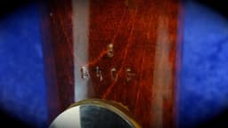 Ernst Riedl Model 5 Professional Wood Bassoon with High D Serial #8405 Ernst Riedl Model 5 Professional Wood Bassoon with High D Serial #8405