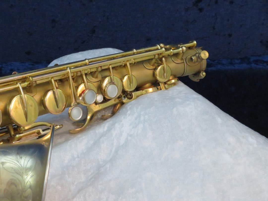 Buescher The Buescher True-Tone Gold Plated Alto Saxophone 1924 Serial #174532