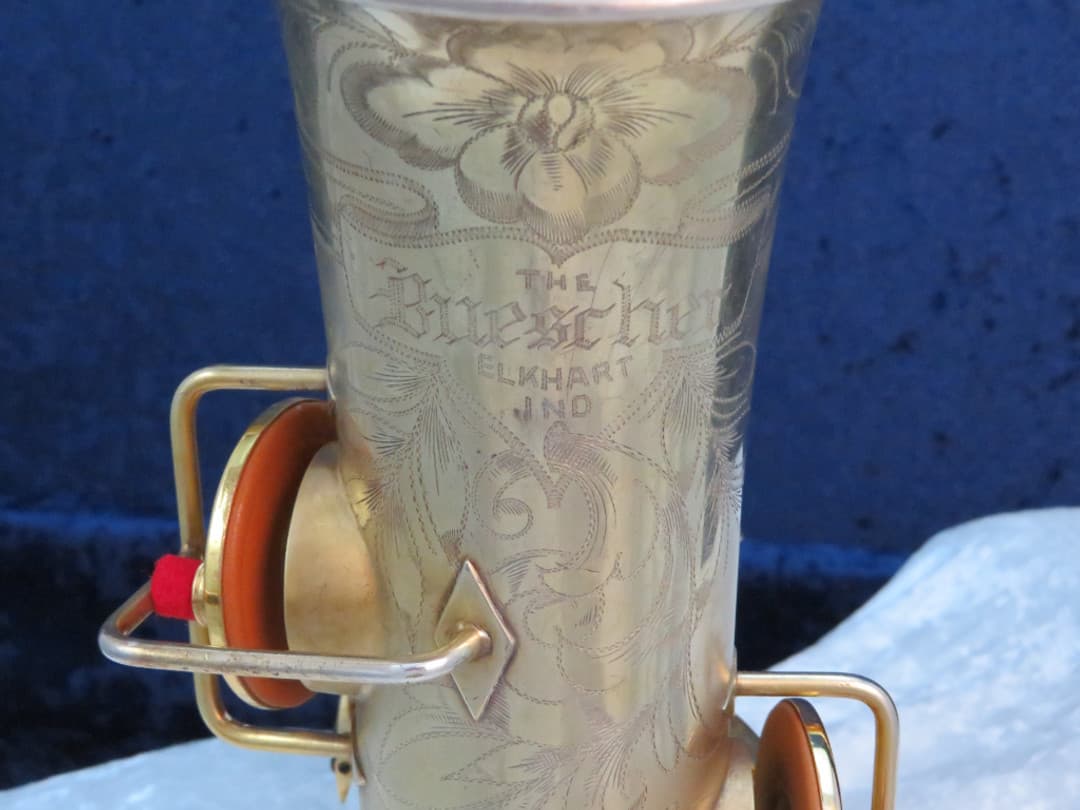 Buescher The Buescher True-Tone Gold Plated Alto Saxophone 1924 Serial #174532