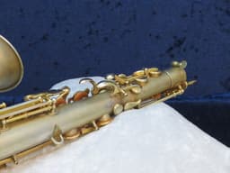 Buescher The Buescher True-Tone Gold Plated Alto Saxophone 1924 Serial #174532 Buescher The Buescher True-Tone Gold Plated Alto Saxophone 1924 Serial #174532