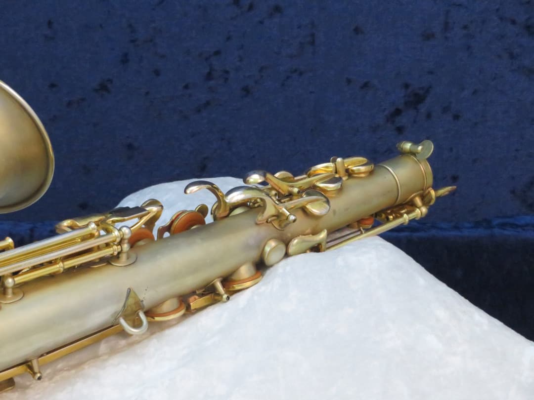 Buescher The Buescher True-Tone Gold Plated Alto Saxophone 1924 Serial #174532