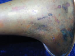 Olds Ambassador Trombone Serial #283198 Olds Ambassador Trombone Serial #283198