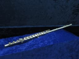 Jupiter JFL-611R Flute Serial #311216 Jupiter JFL-611R Flute Serial #311216