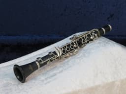 Selmer USA Plastic Eb Soprano Clarinet Serial #12306 Selmer USA Plastic Eb Soprano Clarinet Serial #12306