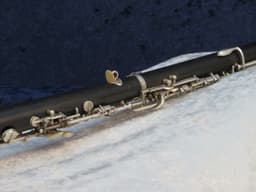 Cabart Wood Oboe Serial #CC14 Cabart Wood Oboe Serial #CC14