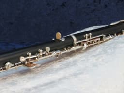 Renard by Fox Artist Model 330 Plastic Oboe Serial #4675 Renard by Fox Artist Model 330 Plastic Oboe Serial #4675