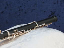 Renard by Fox Artist Model 330 Plastic Oboe Serial #4675 Renard by Fox Artist Model 330 Plastic Oboe Serial #4675