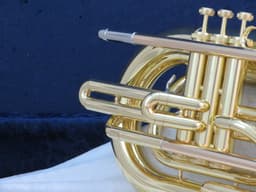 Yamaha YBH301M Marching Baritone Serial #487037 Yamaha YBH301M Marching Baritone Serial #487037