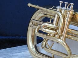 Dynasty Marching Euphonium Serial #J11316 Dynasty Marching Euphonium Serial #J11316