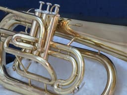Dynasty Marching Euphonium Serial #J11316 Dynasty Marching Euphonium Serial #J11316