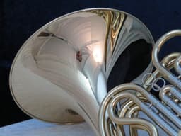 Antigua 3310 Double French Horn Serial #QFH010033 Antigua 3310 Double French Horn Serial #QFH010033