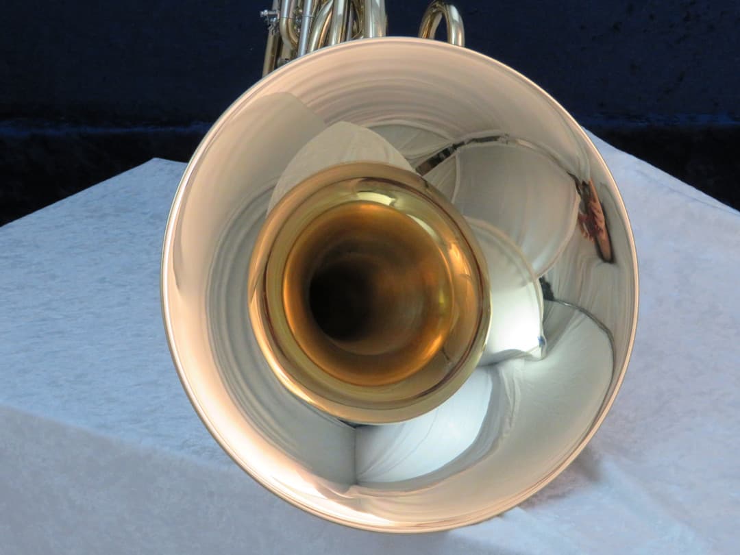 Antigua 3310 Double French Horn Serial #QFH010033