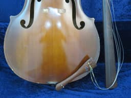 Kay M-1 3/4 Size Upright String Bass Serial #49459 Kay M-1 3/4 Size Upright String Bass Serial #49459