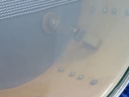 Walberg and Auge Perfection 6.5 x 15 Green Sparkle Wood Snare Drum 1964 Serial #9-64 Walberg and Auge Perfection 6.5 x 15 Green Sparkle Wood Snare Drum 1964 Serial #9-64